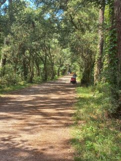 Akord 64 - cours de Taïchi Chuan, Qi Gong, marche nordique - Bungy Pilates - Postural ball - Gymnastique de Gasquet - Sport et santé - Bayonne - Anglet