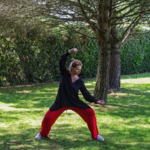 cours de Taiji Quan samedi matin à Bayonne