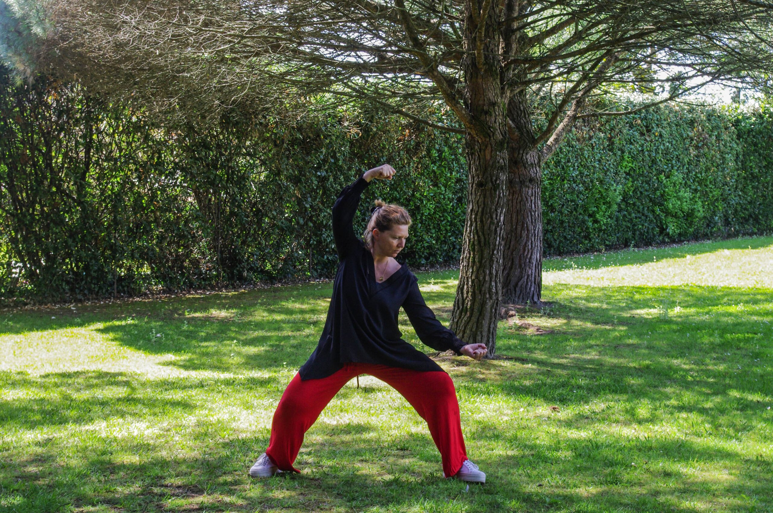 cours de Taiji Quan samedi matin à Bayonne