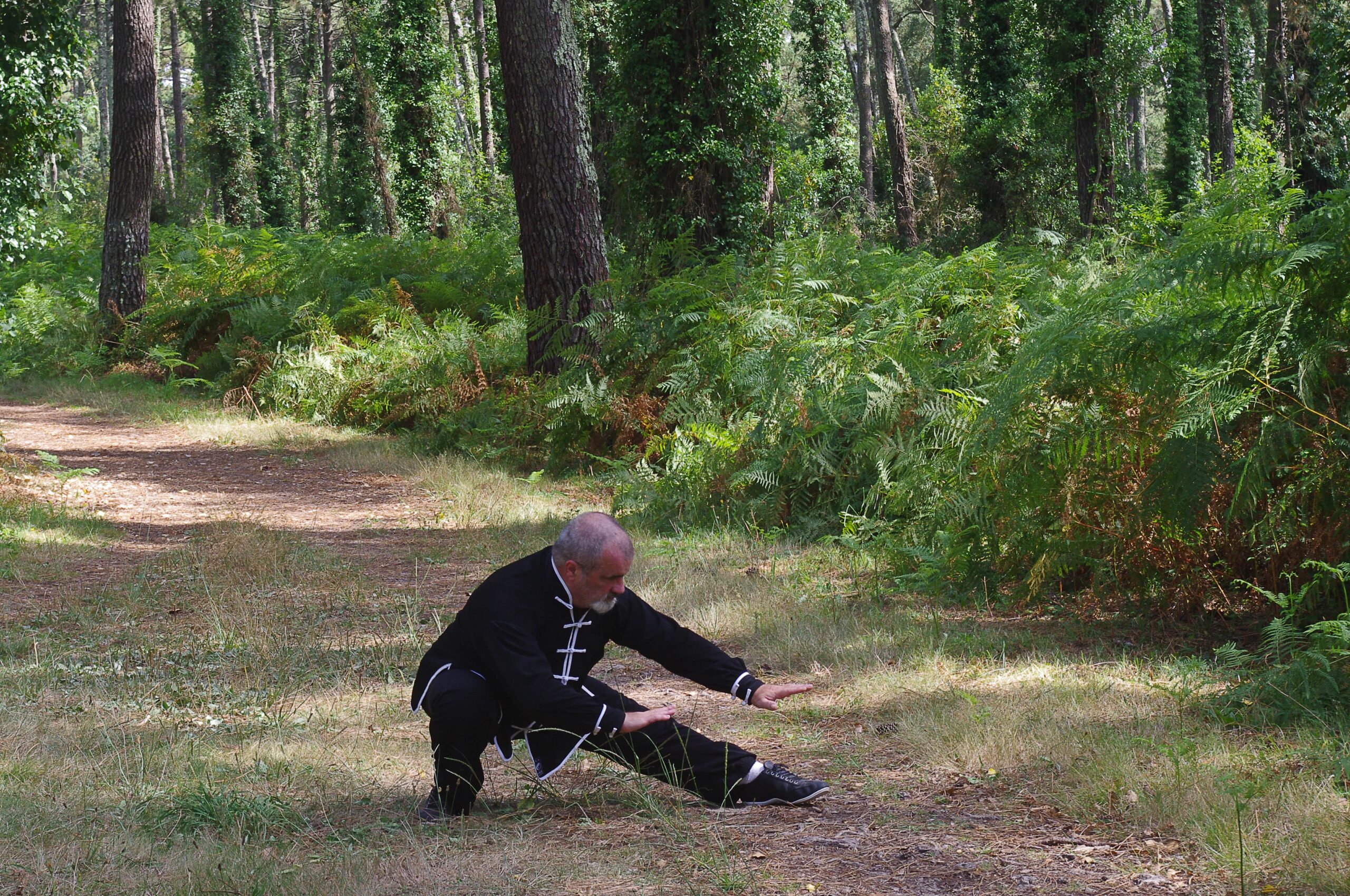 cours de Qi Gong à Bayonne