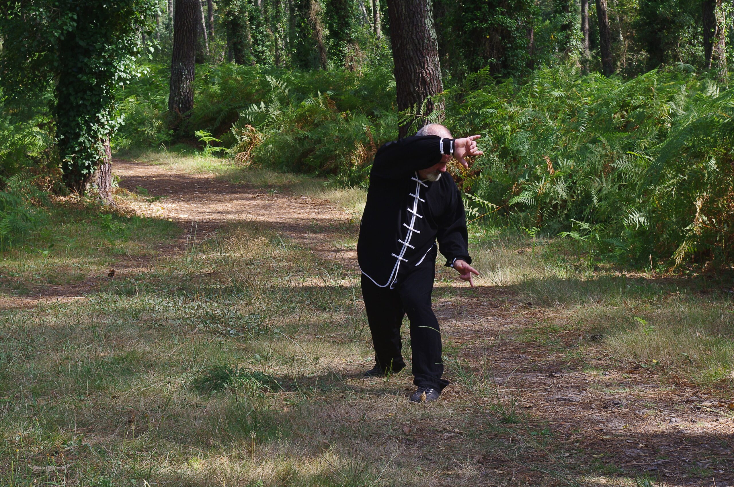 cours de Qi Gong mercredi matin Anglet